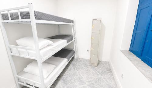 Bunk Bed in Mixed Dormitory Room