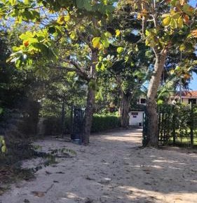 Three-Bedroom Apartment with Park View