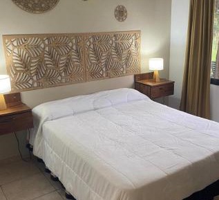 Deluxe One-Bedroom Apartment with Garden View