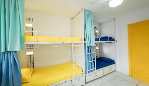 Bunk Bed in Mixed Dormitory Room