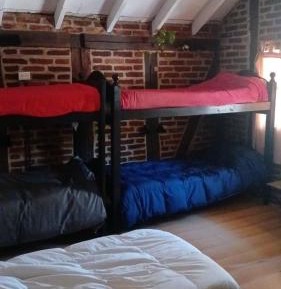 Single Bed in 7-Bed Dormitory Room