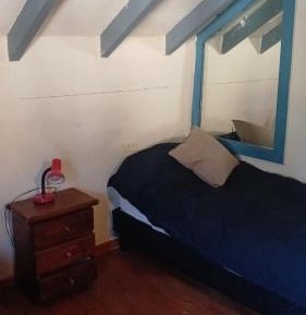 Bed in 4-Bed Dormitory Room