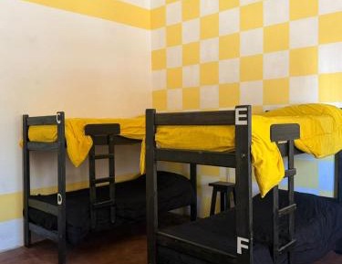 Bunk Bed in Mixed Dormitory Room