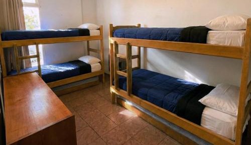 Bed in 4-Bed Dormitory Room