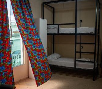 Bunk Bed in Mixed Dormitory Room