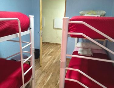 Single Bed in Mixed Dormitory Room