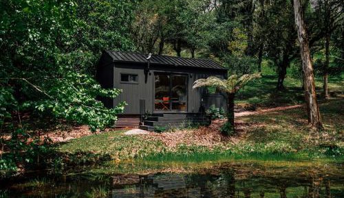 Studio with Lake View