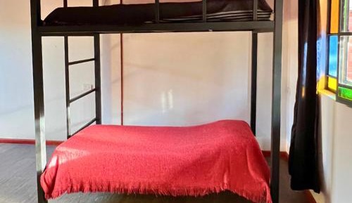 Bed in 4-Bed Female Dormitory Room
