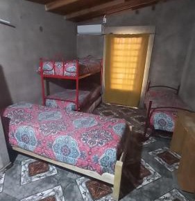 Bed in 4-Bed Mixed Dormitory Room