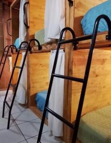 Bed in 6-Bed Dormitory Room