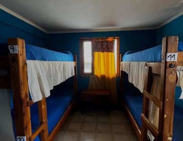 Bunk Bed in Mixed Dormitory Room