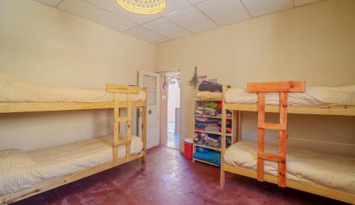 Bed in 8-Bed Mixed Dormitory Room