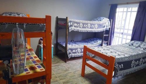 Bed in 6-Bed Mixed Dormitory Room