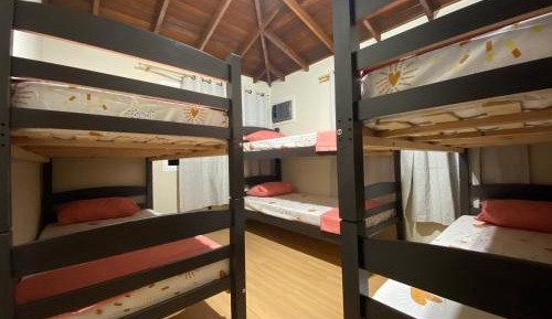 Bunk Bed in Mixed Dormitory Room