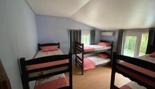 Bunk Bed in Mixed Dormitory Room