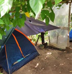 Tent
