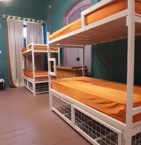 Single Bed in Dormitory Room