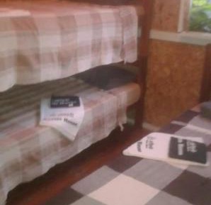 Bunk Bed in Mixed Dormitory Room