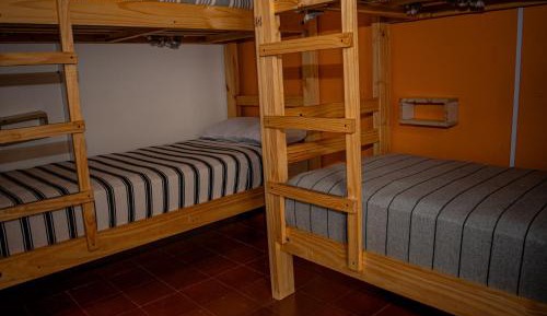 4-Bed Mixed Dormitory Room