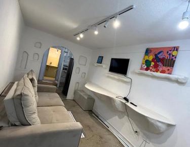 One-bedroom Loft Apartment 