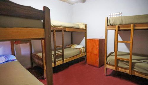 Bed in 6-Bed Mixed Dormitory Room