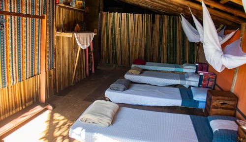 Single Bed in Mixed Dormitory Room