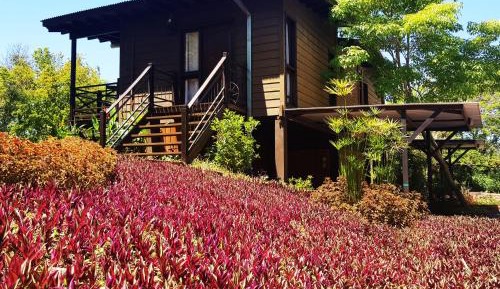 Deluxe Double Room with River View