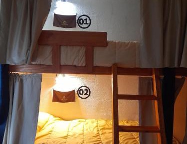 Bunk Bed in Mixed Dormitory Room