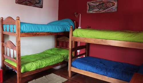 Bed in 4-Bed Dormitory Room