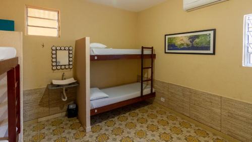 Bunk Bed in Male Dormitory Room 