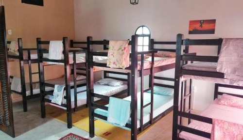 Bunk Bed in Mixed Dormitory Room