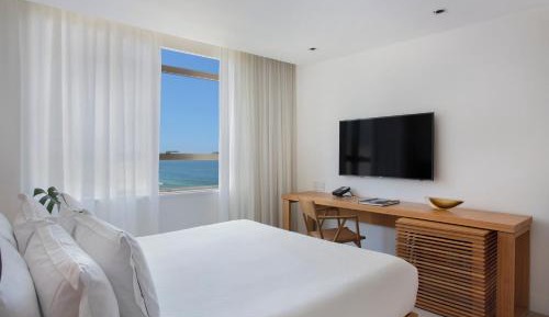 Superior Room (The Room)