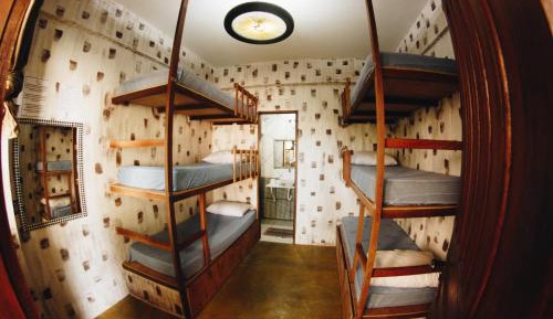 Bed in 6-Bed Mixed Dormitory Room