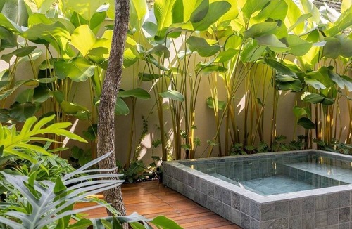 Maues Hotel | São Sebastião Jungle Hotel