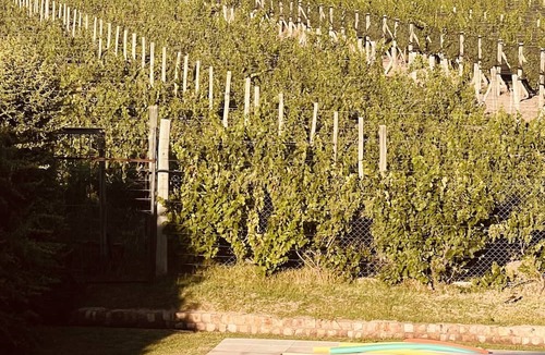 Chacras de Coria House | Casa Distinta nMendoza Argentina