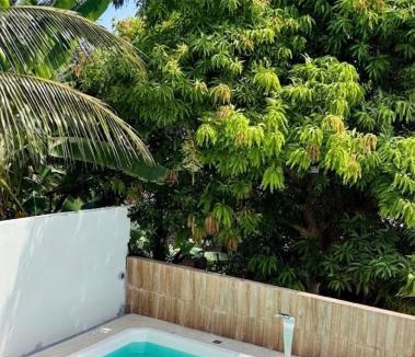 Novo Aleixo House | Águas claras