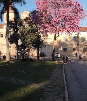 Chacaras Primavera Apartment | Aconchego e praticidade no centro histórico