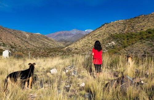 Las Vegas Other | La Cápsula, a rugged nature stay in purity