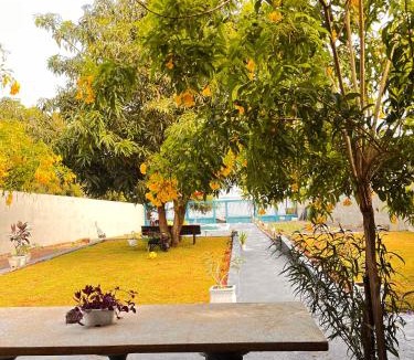 Miguelopolis Other | Rancho Vô Mário Miguelópolis