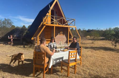 Rama Caida Ski Chalet | Cabañas Pehuen Andino