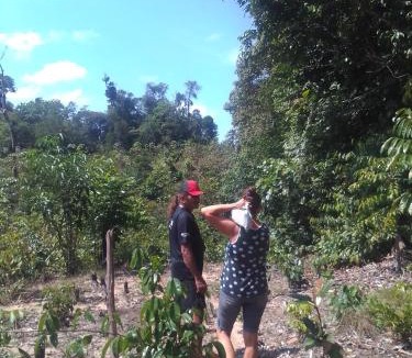 Rio Preto da Eva Other | Acampamento selvagem