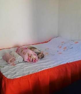 Bangu Apartment | Pequena e Charmosa