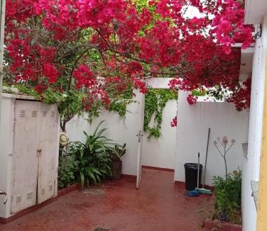 La Plata Apartment | Departamento y naturaleza