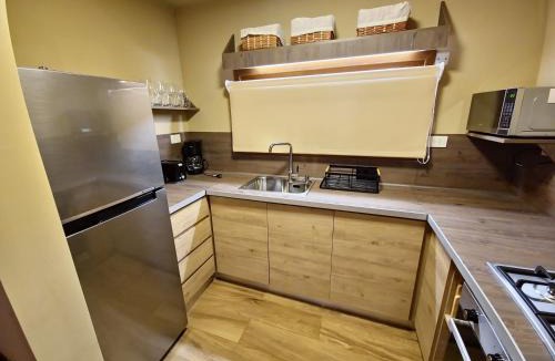 Puerto Manzano Apartment | Remanso del Bosque Loft Cauquen, Bahía Manzano