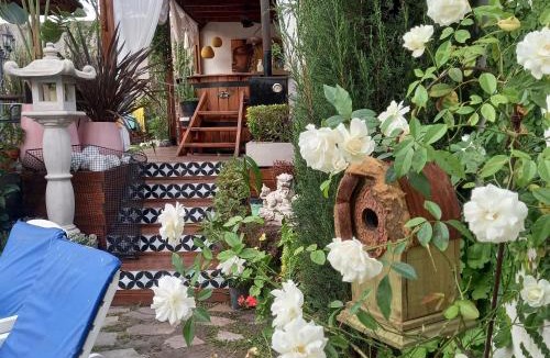 Federacion Apartment | Vento Apart Boutique