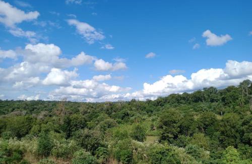 Puerto Iguazu Resort | Curiango Birding Camp