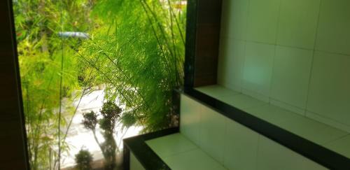 Caetanopolis House | sitiolosbragas