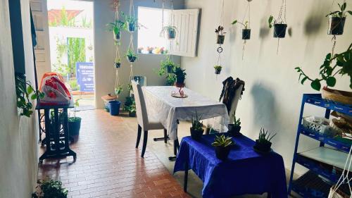 Areia House | Pousada Altas Horas