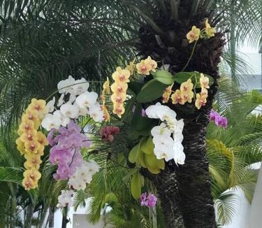 Jardim Vitoria Apartment | GUARUJA-SP-50MTSDAPRAIA-ENSEADA-CENTRO-DUAS SUIT