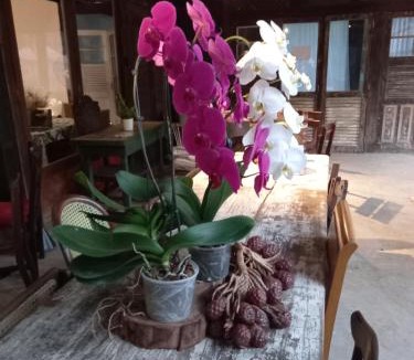 Sacra Familia do Tingua Hotel | Uaná Etê EVEN GLAMPING Experiências de Charme